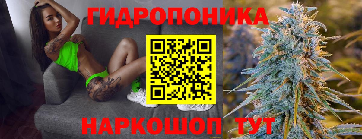Бошки Шишки SATIVA & INDICA  Вход с VPN  Аша  МАРИХУАНА сатива 